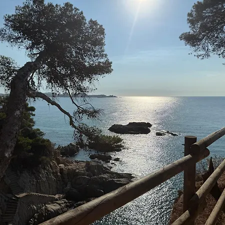 Edificio Lirios Politur 普拉加德阿罗