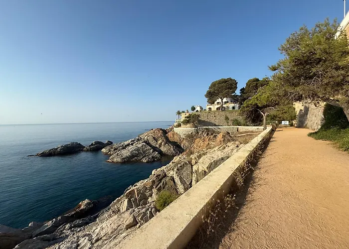 Edificio Lirios Politur 普拉加德阿罗