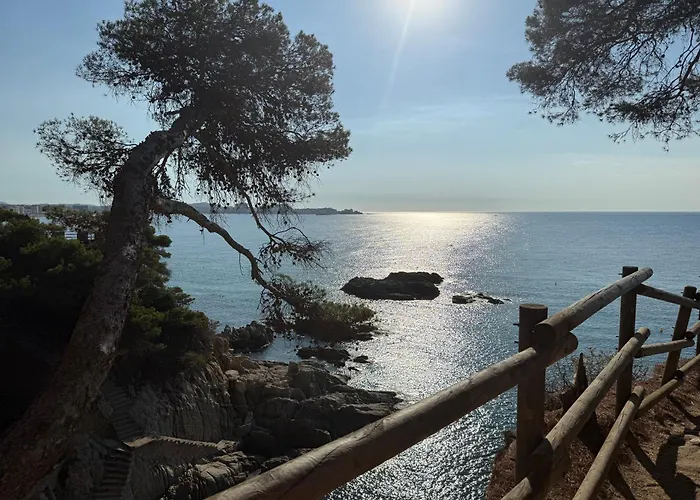 Edificio Lirios Politur 普拉加德阿罗