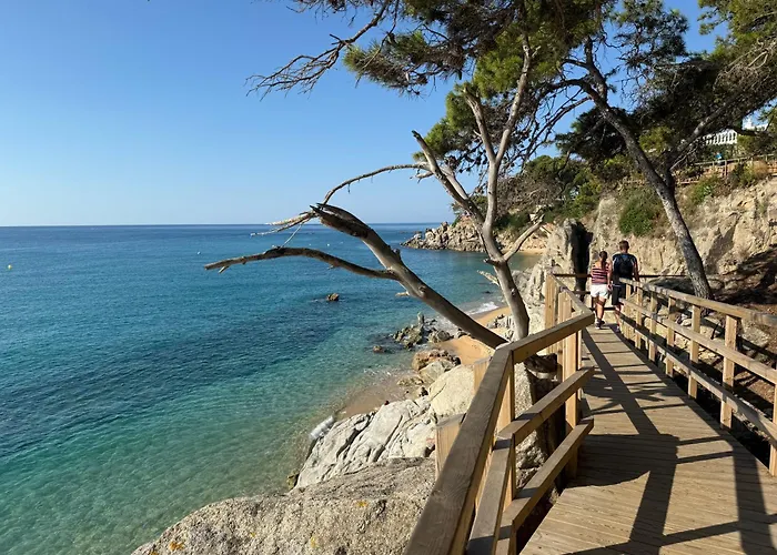 Edificio Lirios Politur 普拉加德阿罗